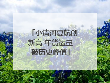 小清河复航创新高 年货运量破历史峰值