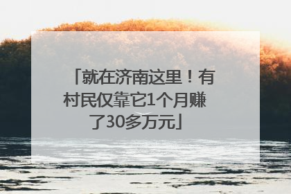 就在济南这里！有村民仅靠它1个月赚了30多万元