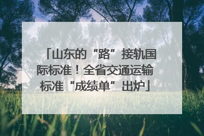 山东的“路”接轨国际标准！全省交通运输标准“成绩单”出炉