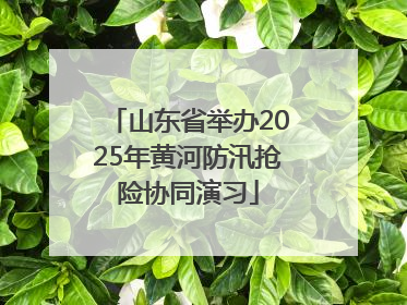 山东省举办2025年黄河防汛抢险协同演习