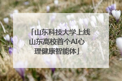 山东科技大学上线山东高校首个AI心理健康智能体