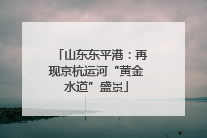 山东东平港：再现京杭运河“黄金水道”盛景