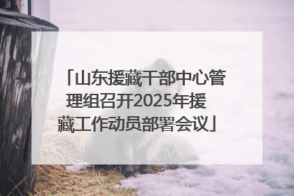 山东援藏干部中心管理组召开2025年援藏工作动员部署会议