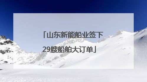 山东新能船业签下29艘船舶大订单