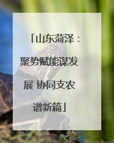 山东菏泽：聚势赋能谋发展 协同支农谱新篇