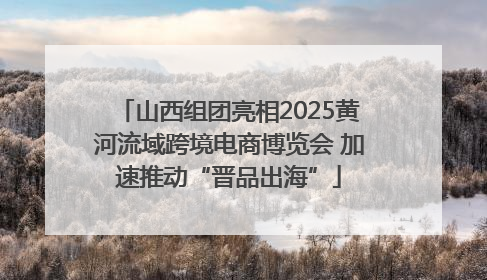 山西组团亮相2025黄河流域跨境电商博览会 加速推动“晋品出海”