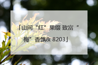 山间“红”果缀 致富“梅”香飘& 8203