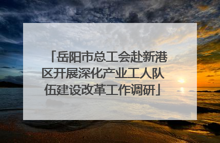 岳阳市总工会赴新港区开展深化产业工人队伍建设改革工作调研