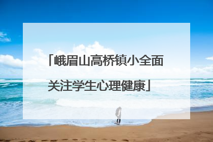 峨眉山高桥镇小全面关注学生心理健康