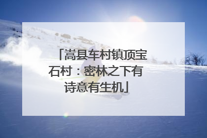 嵩县车村镇顶宝石村：密林之下有诗意有生机
