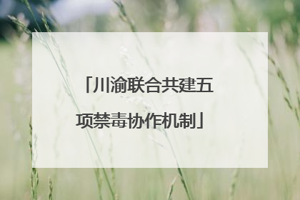 川渝联合共建五项禁毒协作机制