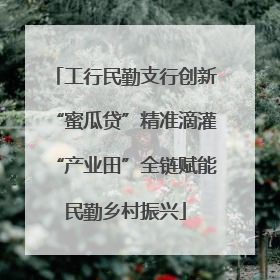 工行民勤支行创新“蜜瓜贷”精准滴灌“产业田”全链赋能民勤乡村振兴