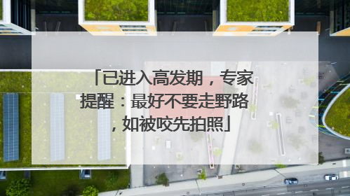 已进入高发期，专家提醒：最好不要走野路，如被咬先拍照