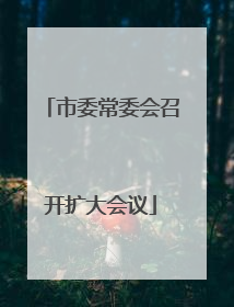 市委常委会召开扩大会议