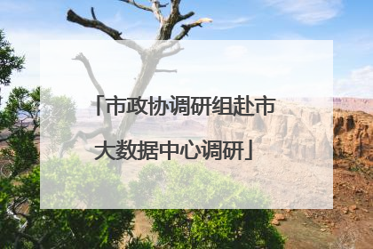 市政协调研组赴市大数据中心调研