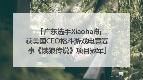 广东选手Xiaohai斩获美国CEO格斗游戏电竞赛事《饿狼传说》项目冠军