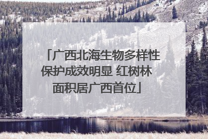 广西北海生物多样性保护成效明显 红树林面积居广西首位