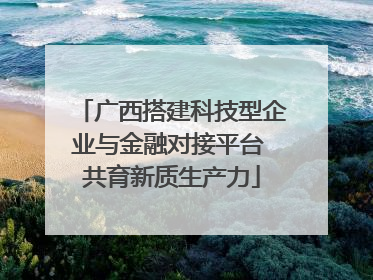 广西搭建科技型企业与金融对接平台 共育新质生产力