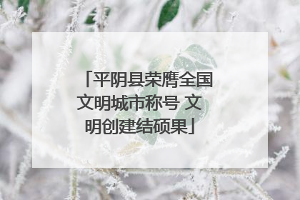 平阴县荣膺全国文明城市称号 文明创建结硕果