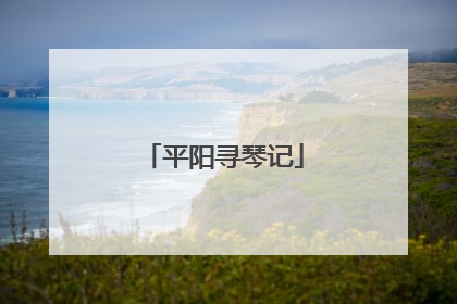 平阳寻琴记