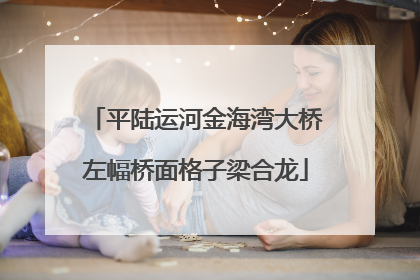 平陆运河金海湾大桥左幅桥面格子梁合龙