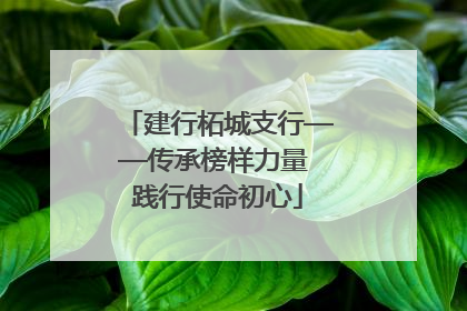 建行柘城支行——传承榜样力量 践行使命初心