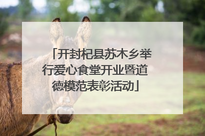 开封杞县苏木乡举行爱心食堂开业暨道德模范表彰活动
