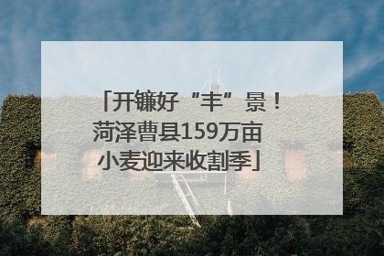 开镰好“丰”景！菏泽曹县159万亩小麦迎来收割季