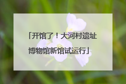 开馆了！大河村遗址博物馆新馆试运行