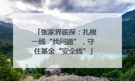 张家界医保：扎根一线“找问题”，守住基金“安全线”