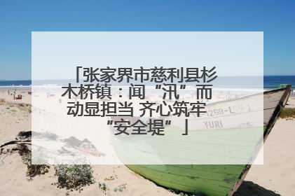 张家界市慈利县杉木桥镇：闻“汛”而动显担当 齐心筑牢“安全堤”