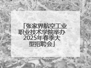 张家界航空工业职业技术学院举办2025年春季大型招聘会