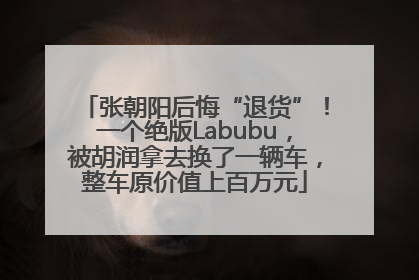 张朝阳后悔“退货”！一个绝版Labubu，被胡润拿去换了一辆车，整车原价值上百万元