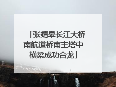 张靖皋长江大桥南航道桥南主塔中横梁成功合龙