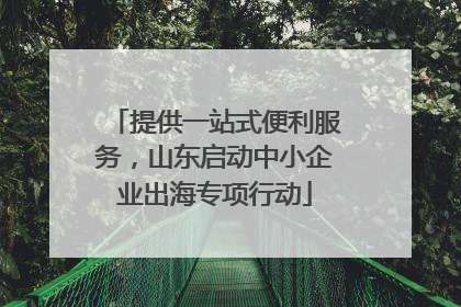 提供一站式便利服务，山东启动中小企业出海专项行动