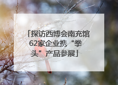 探访西博会南充馆 62家企业携“拳头”产品参展