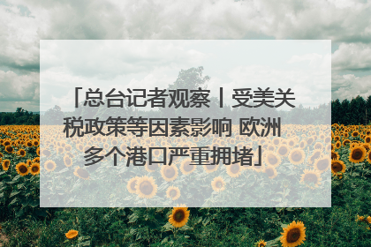 总台记者观察丨受美关税政策等因素影响 欧洲多个港口严重拥堵