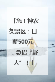 急！神农架景区：日薪500元，急招“野人”！