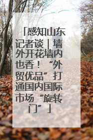 感知山东记者谈｜墙外开花墙内也香！“外贸优品”打通国内国际市场“旋转门”