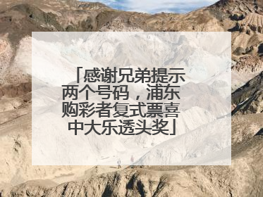感谢兄弟提示两个号码，浦东购彩者复式票喜中大乐透头奖