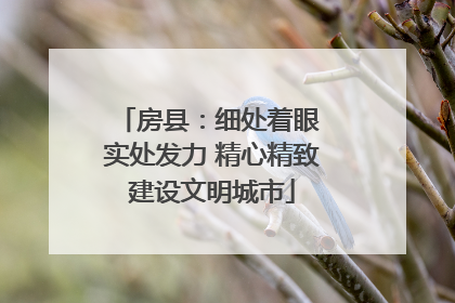 房县：细处着眼 实处发力 精心精致建设文明城市