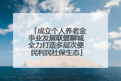 成立个人养老金事业发展联盟聊城全力打造多层次便民利民社保生态