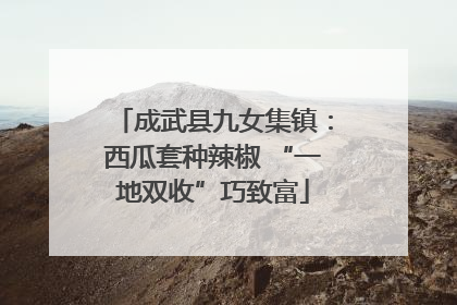 成武县九女集镇：西瓜套种辣椒 “一地双收”巧致富