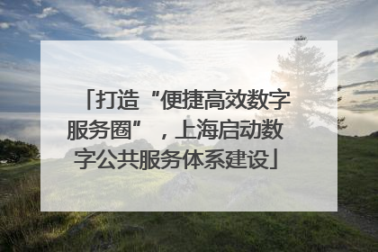 打造“便捷高效数字服务圈”，上海启动数字公共服务体系建设