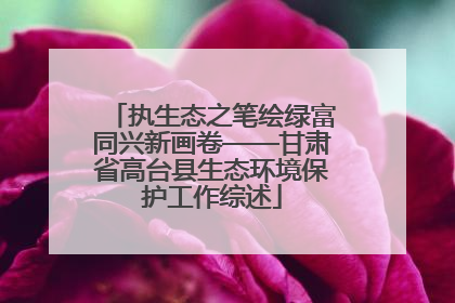 执生态之笔绘绿富同兴新画卷——甘肃省高台县生态环境保护工作综述