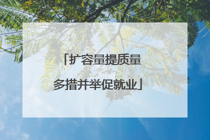 扩容量提质量 多措并举促就业