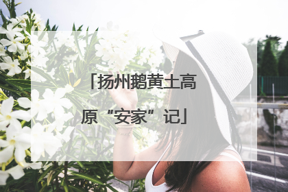 扬州鹅黄土高原“安家”记