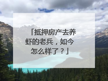抵押房产去养虾的老兵，如今怎么样了？