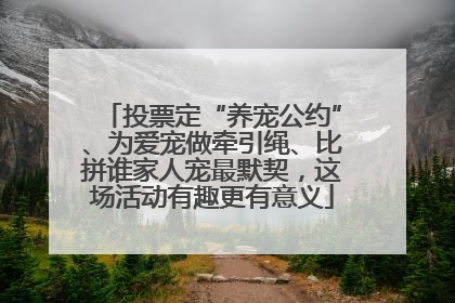 投票定“养宠公约”、为爱宠做牵引绳、比拼谁家人宠最默契，这场活动有趣更有意义