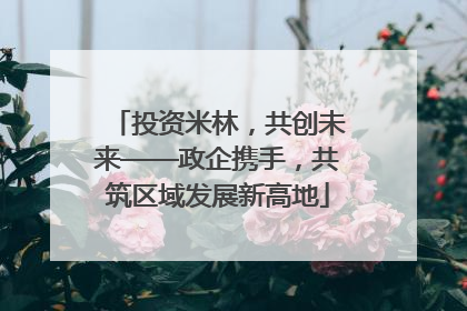 投资米林，共创未来——政企携手，共筑区域发展新高地